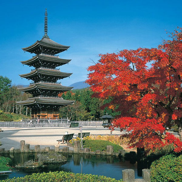 西方寺 五重の塔コース