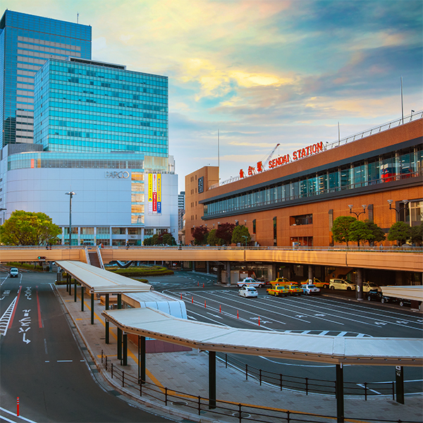 仙台市内・松島海岸満喫コース